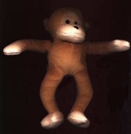 A cheeky monkey with a bright future