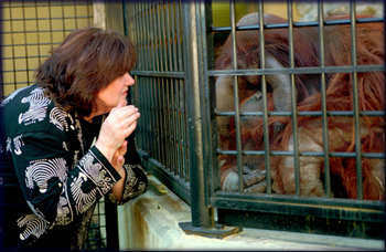 Lyn White Miles (left) and Chantek (right)